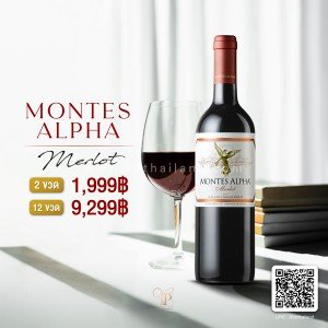 MONTES ALPHA MERLOT ไวน์แดงสุดปังสัญชาติชิลี 🇨🇱 จัดส่งฟรีทั่วประเทศ!