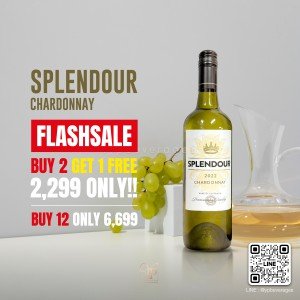 Splendour Chardonnay พร้อมส่งราคาพิเศษ 🔥✨ โปรโมชั้่นซื้อ 2 แถม 1 🔥✨