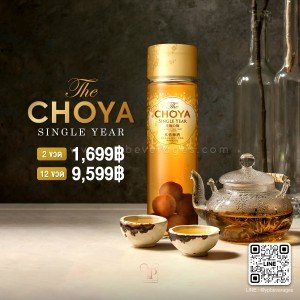 CHOYA SINGLE YEAR เหล้าบ๊วยแสนอร่อยจากญี่ปุ่น ราคาถูกที่สุด!