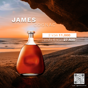 JAMES HENNESSY COGNAC คอนยัคที่โดดเด่นและหรูหรา