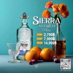 SIERRA ANTIGUO PLATA ราคาพิเศษจัดส่งฟรีทั่วประเทศ!