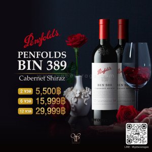 Penfolds Bin389 ราคาพิเศษจัดส่งฟรี