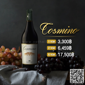 IL POLLENZA COSMINO MARCHE ROSSO IGT 2012