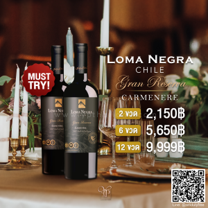 Loma Negra Chile ราคา พิเศษ